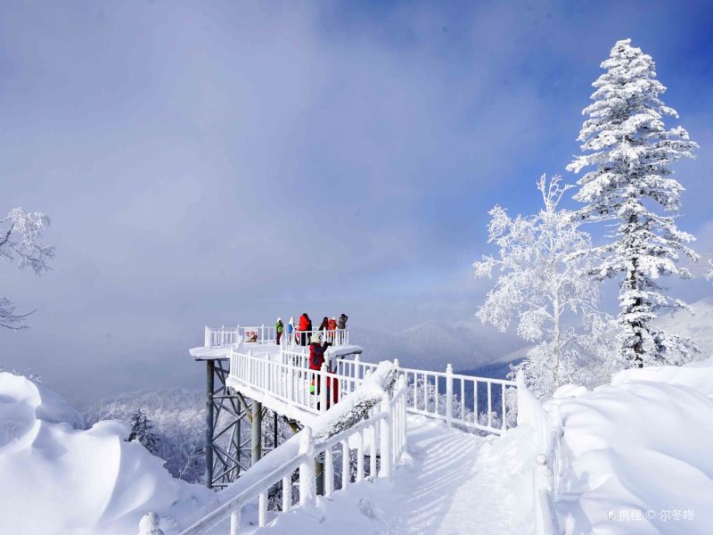 十里冰雪画廊图片