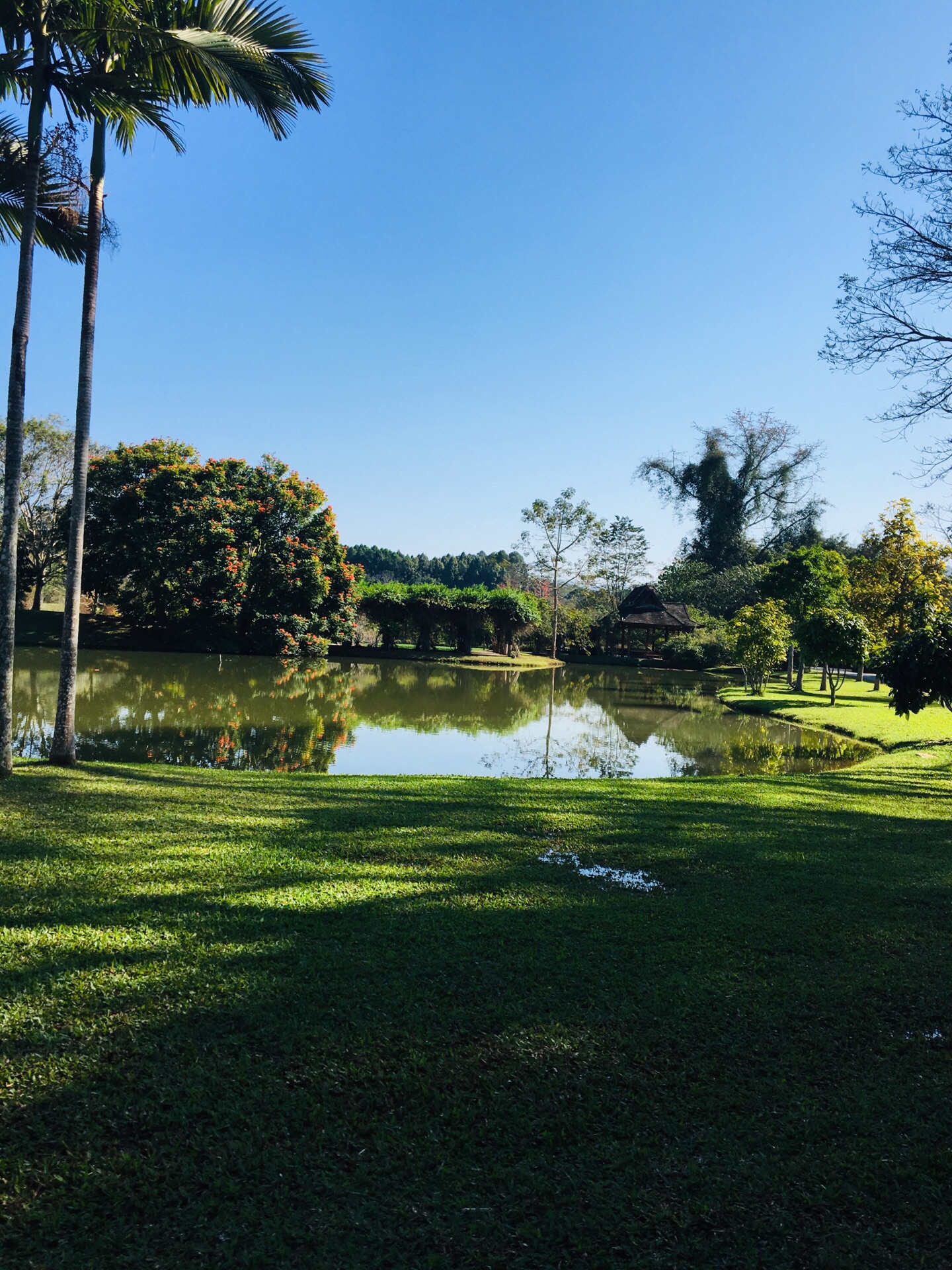 中科院西雙版納熱帶植物園