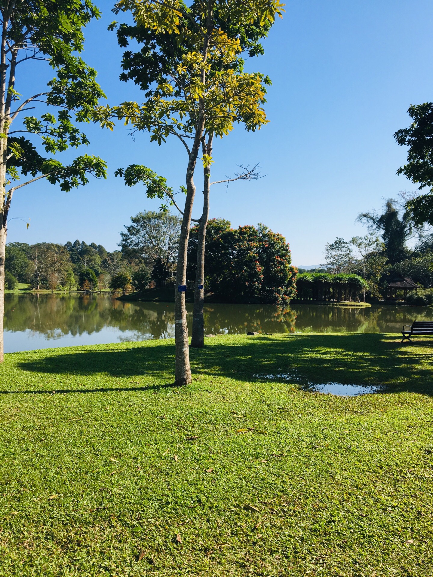 中科院西雙版納熱帶植物園