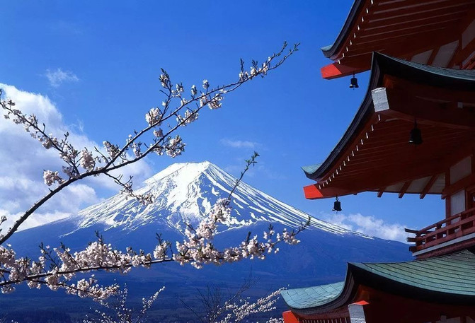 100t12000000rlkg2C95D_R_671_10000_Q90.jpg?proc=autoorient