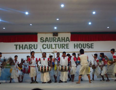 鲁文化 100t12000000s02j35349_C_480_375.jpg