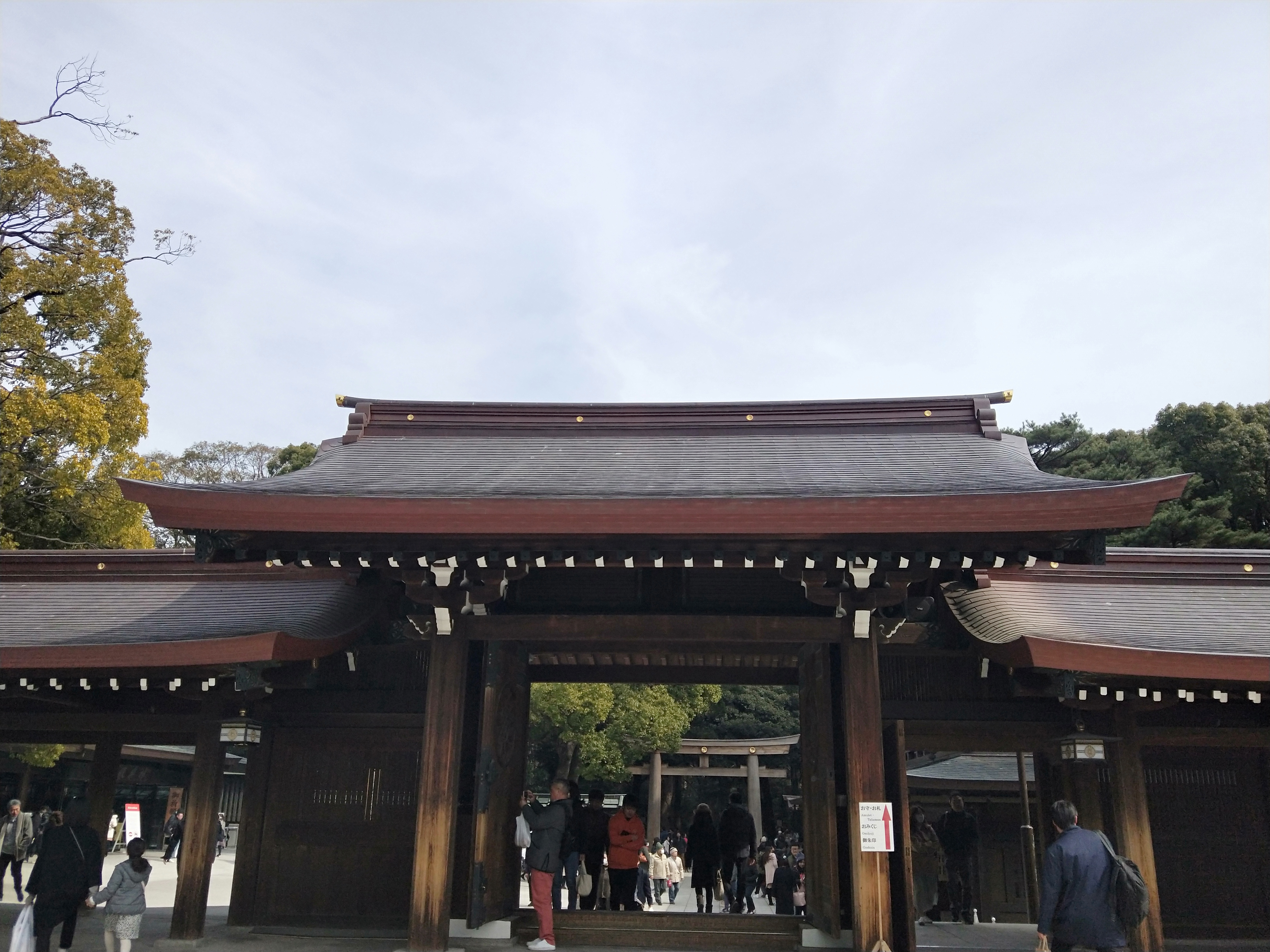 2020明治神宫-旅游攻略-门票-地址-问答-游记点评，东京旅游旅游景点推荐-去哪儿攻略