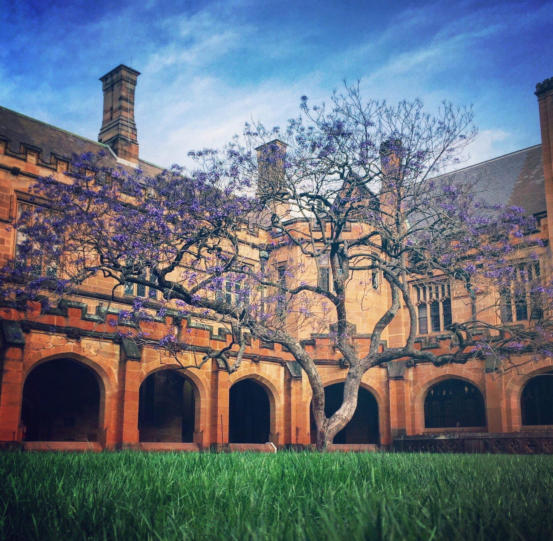 About us - The University of Sydney