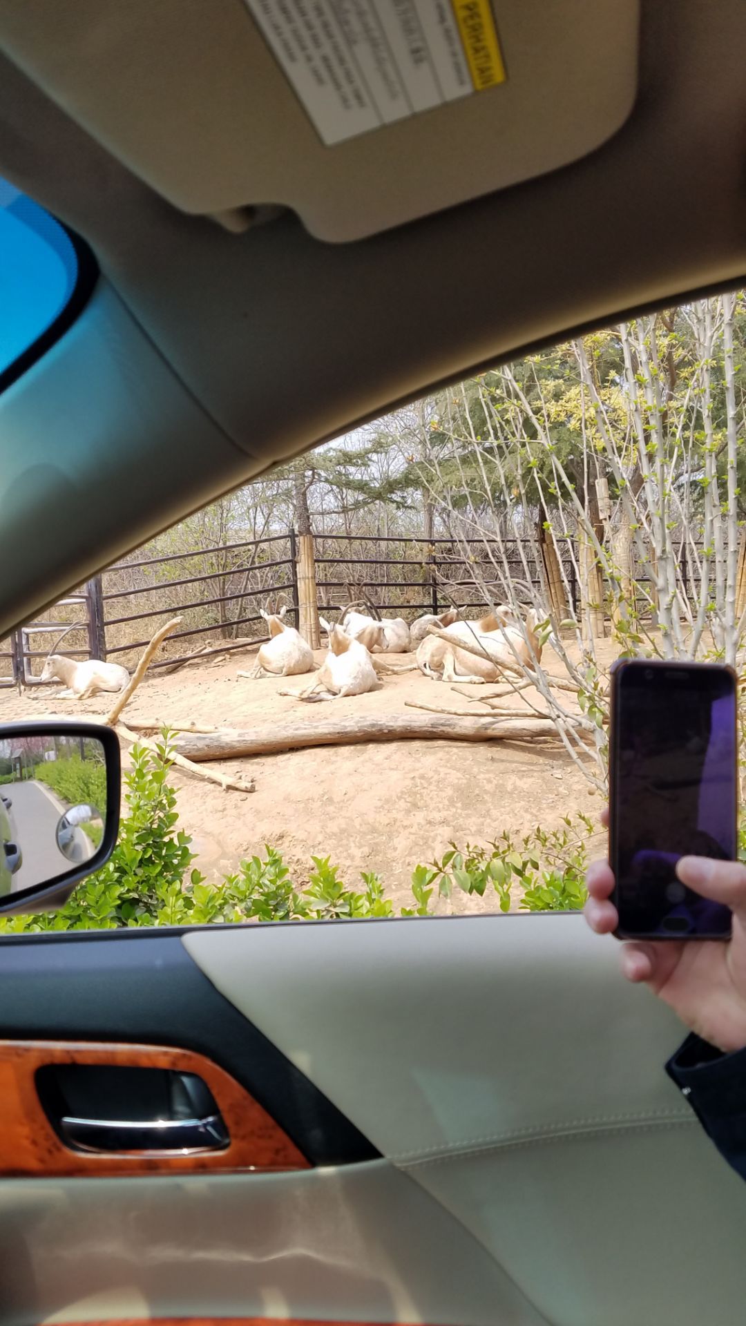 2019濟南野生動物世界_旅遊攻略_門票_地址_遊記點評,濟南旅遊景點