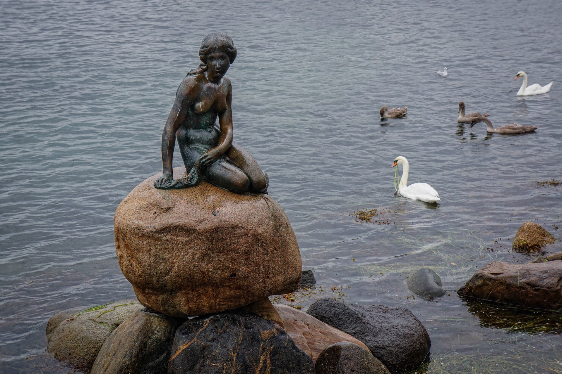 丹麦著名的美人鱼雕塑图片素材_免费下载_jpg图片格式_VRF高清图片501001809_摄图网