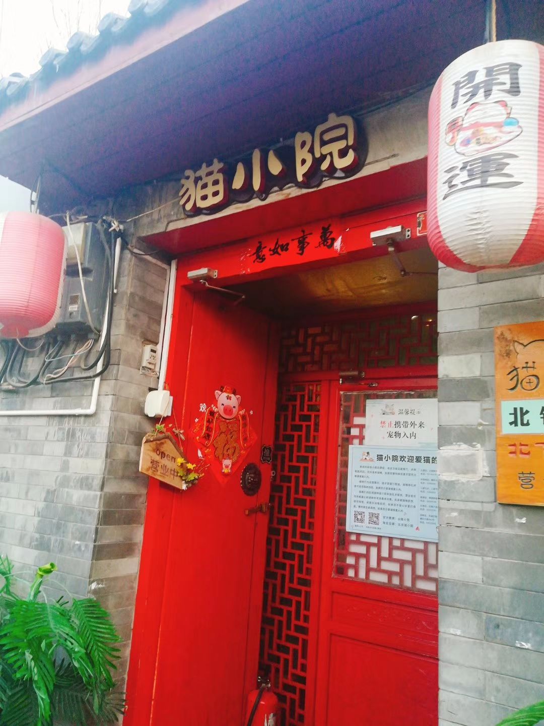 猫小院猫主题餐厅(后海店)-旅游攻略-门票-地址-问答-游记点评,北京