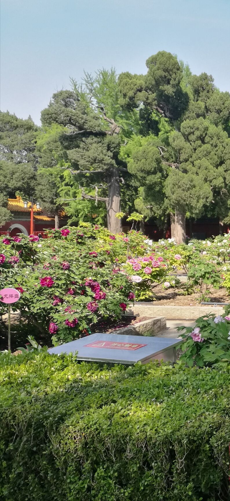 2015景山公園_旅遊攻略_門票_地址_遊記點評,北京旅遊景點推薦 - 去