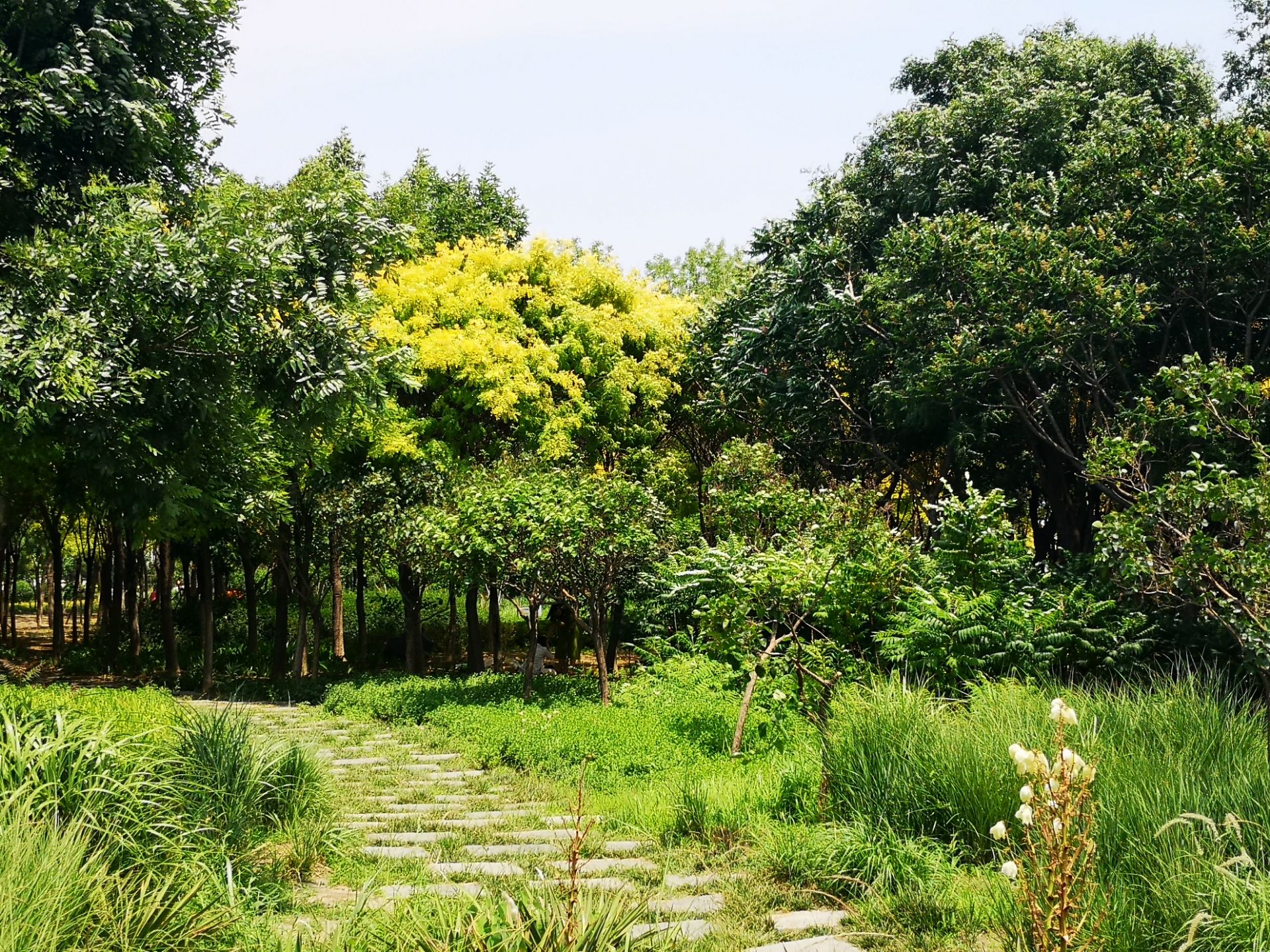 东疆建设开发纪念公园