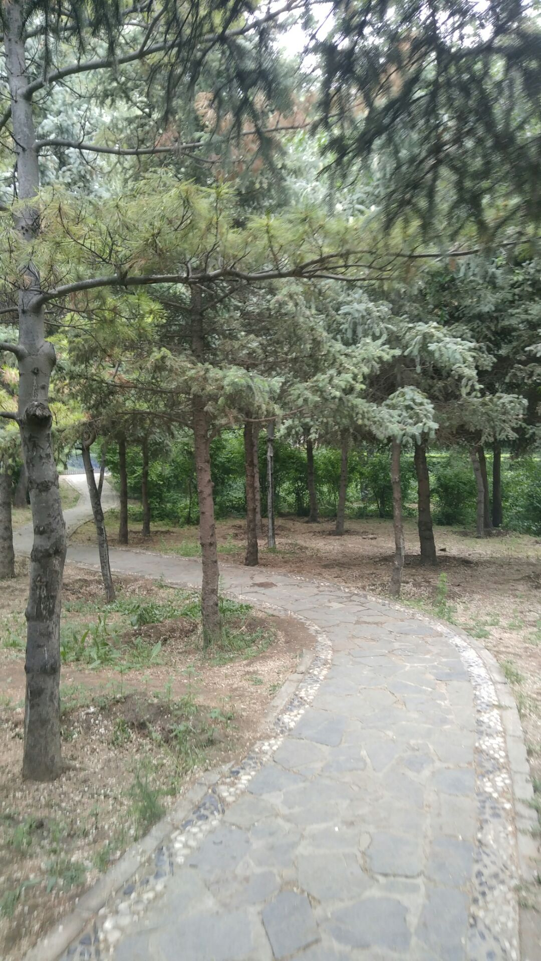 团结公园