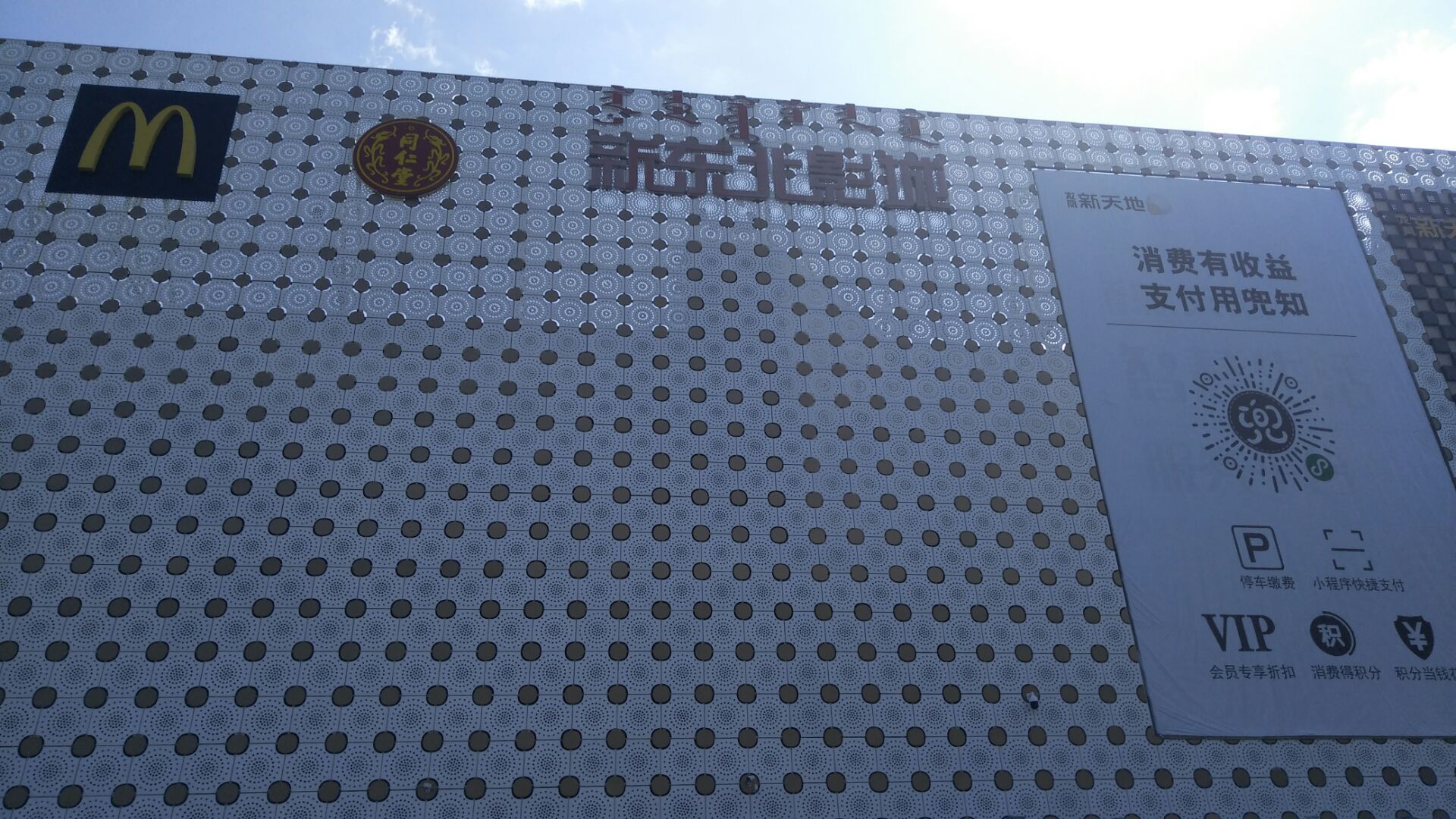 龙凤新天地