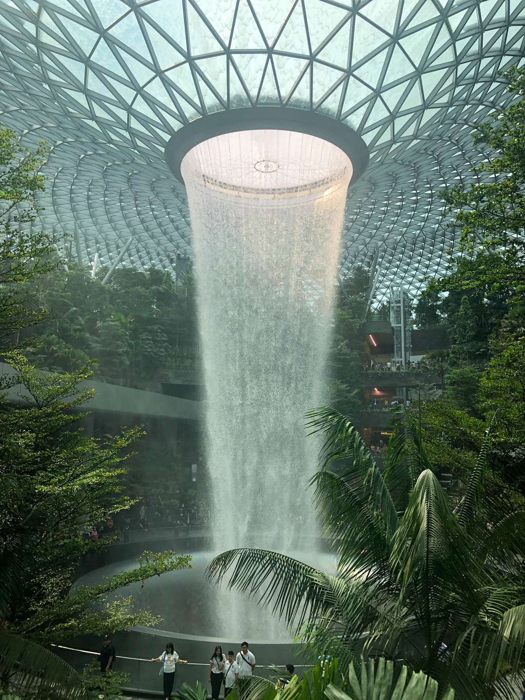 IAM岸木摄影-“星耀樟宜”新加坡机场的瀑布花园_IAM岸木摄影-站酷ZCOOL