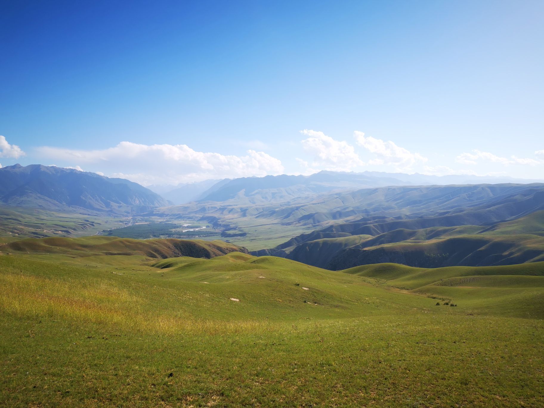 伊犁喀拉峻草原好玩吗,伊犁喀拉峻草原景点怎么样_点评_评价【携程