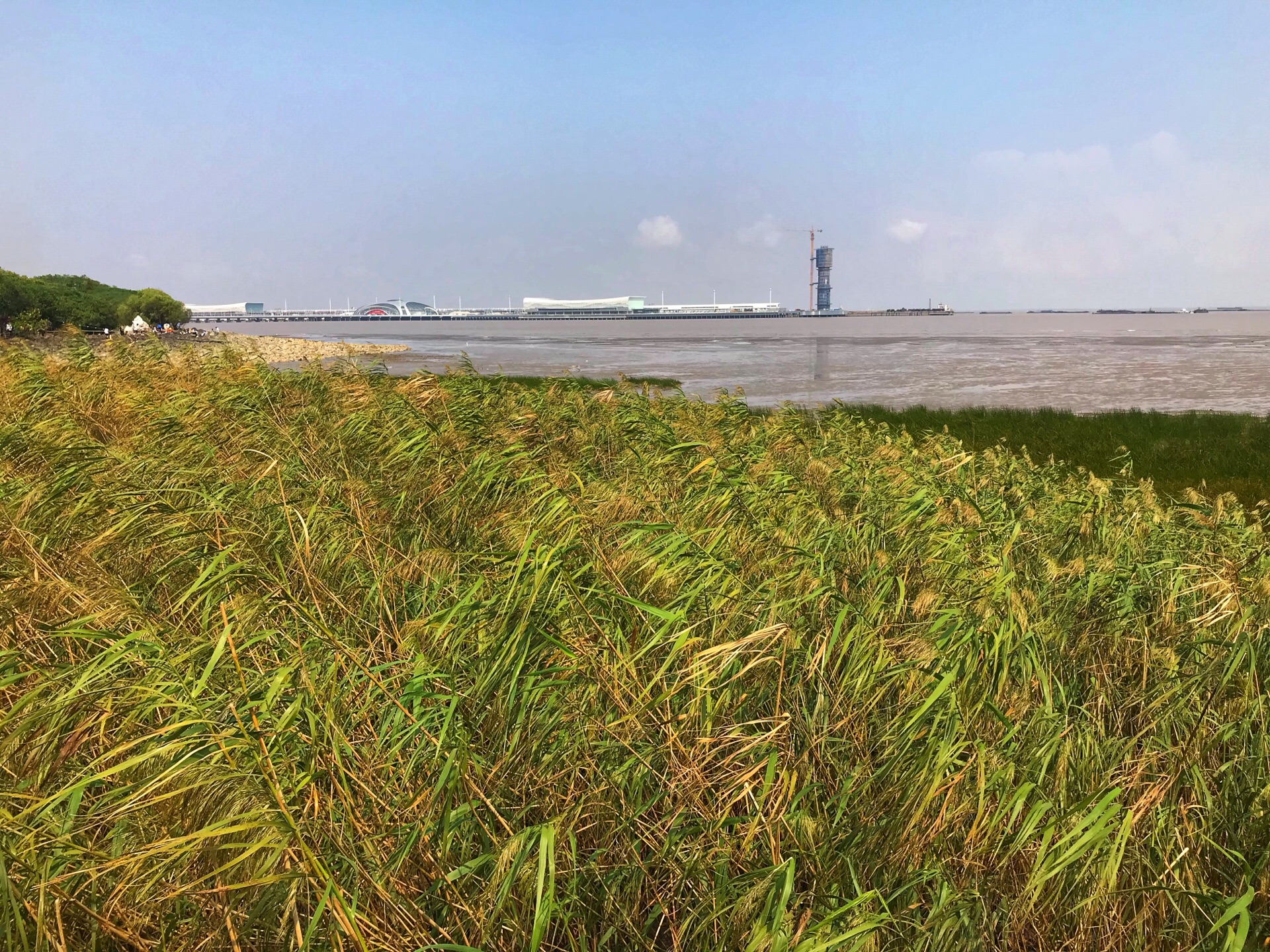 吳淞炮臺灣溼地森林公園