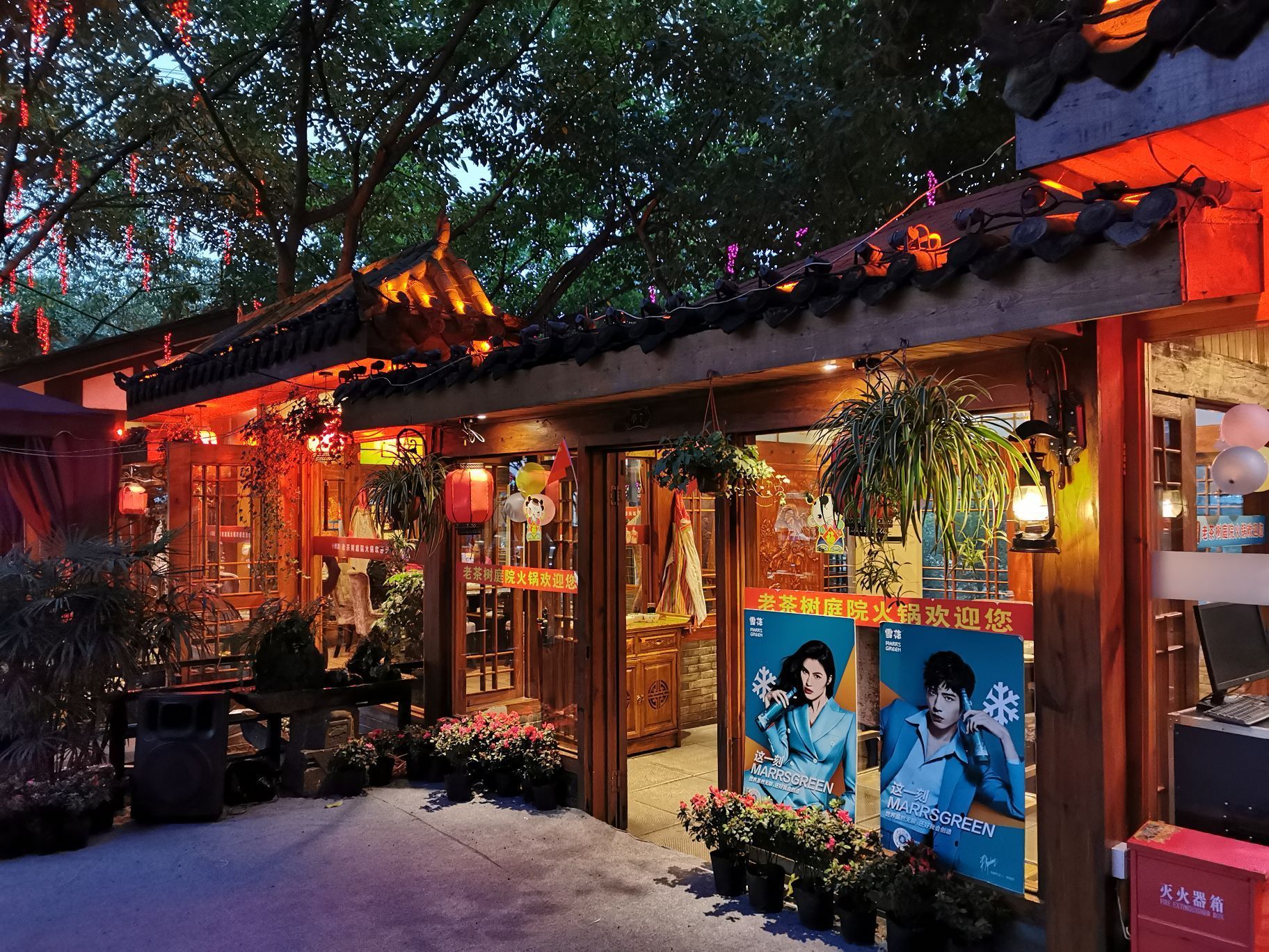 老茶树庭院火锅