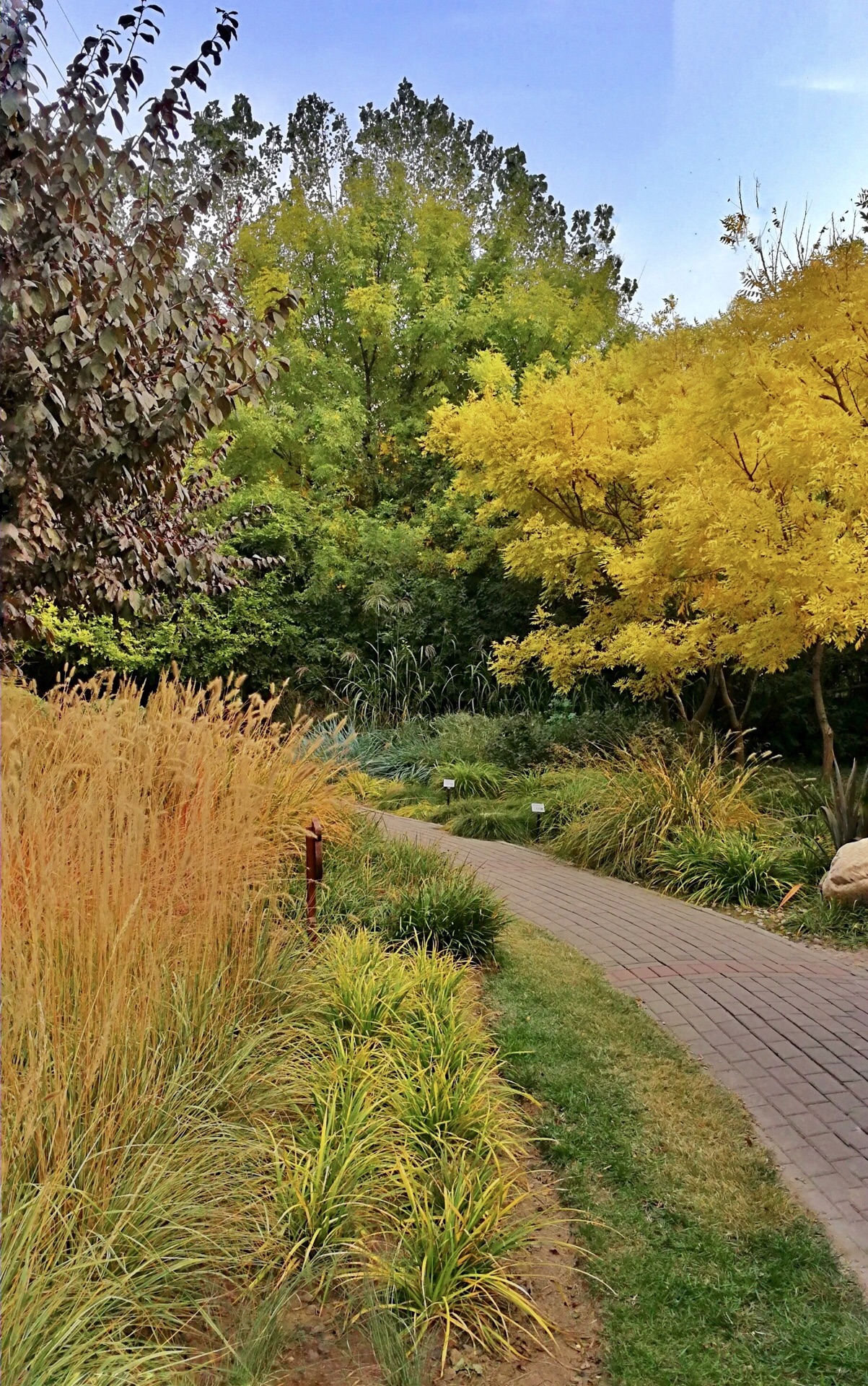 天津芊卉园好玩吗,天津芊卉园景点怎么样_点评_评价【携程攻略】