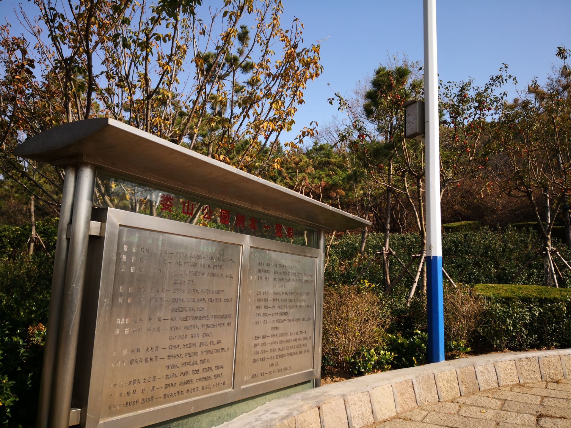 2020楼山公园-旅游攻略-门票-地址-问答-游记点评,青岛旅游旅游景点