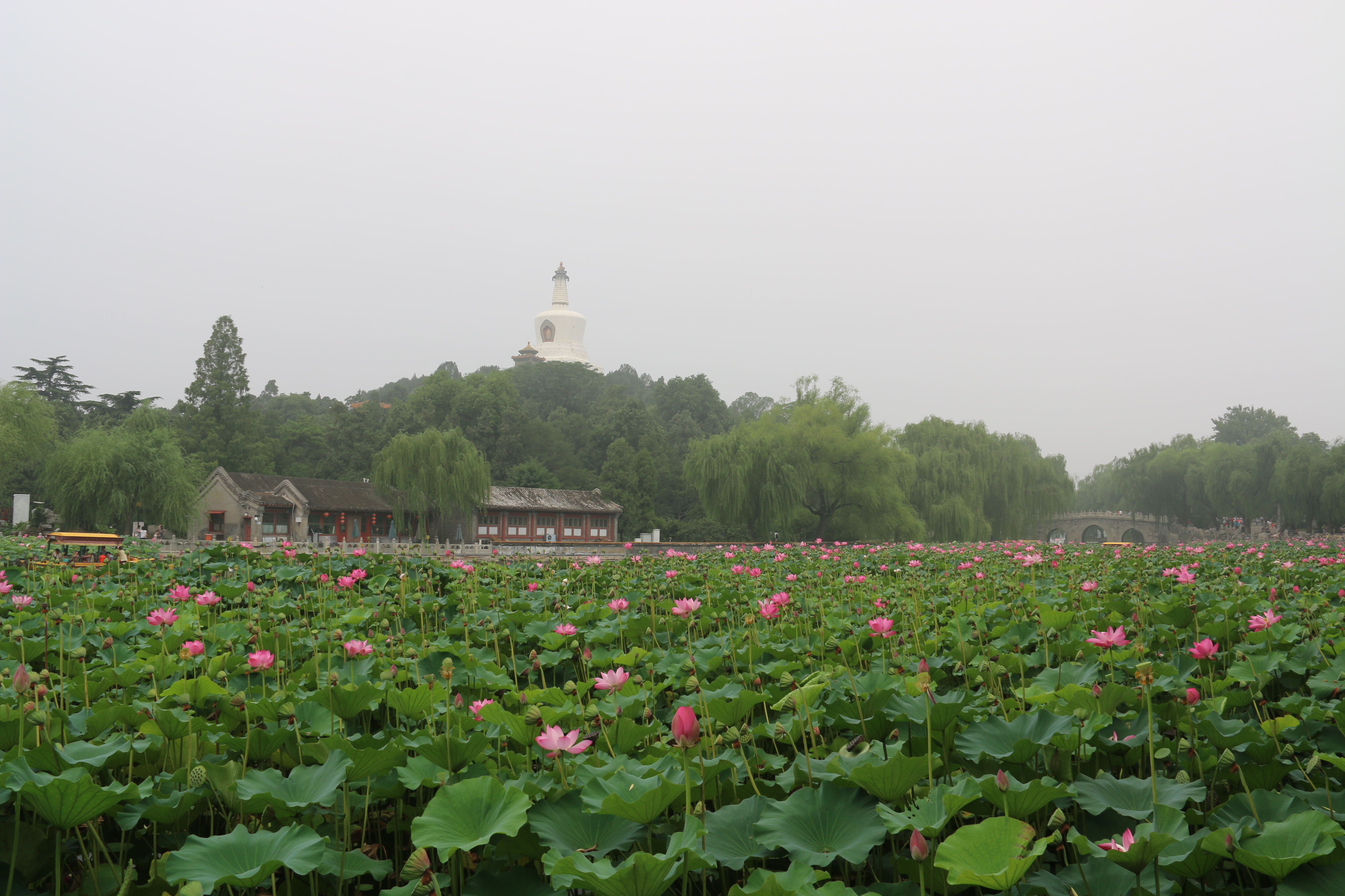 【攜程攻略】北京北海公園適合單獨旅行旅遊嗎,北海公園單獨旅行景點