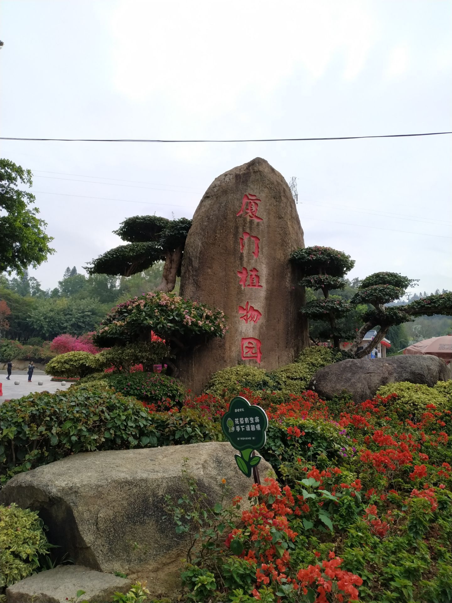 2023ʯ湥,ʯλʯֲ.ȥĶԡ
