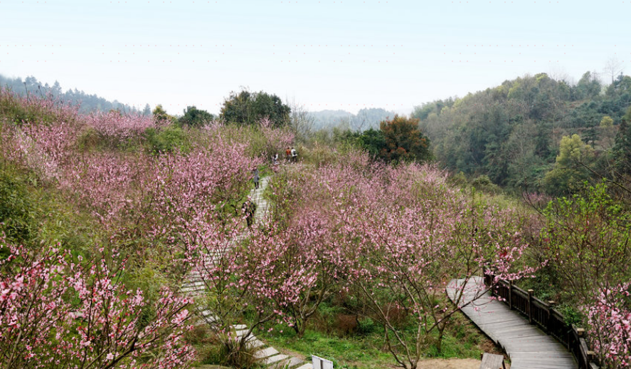 灰汤桃花谷   分 1条点评 距玩乐845m