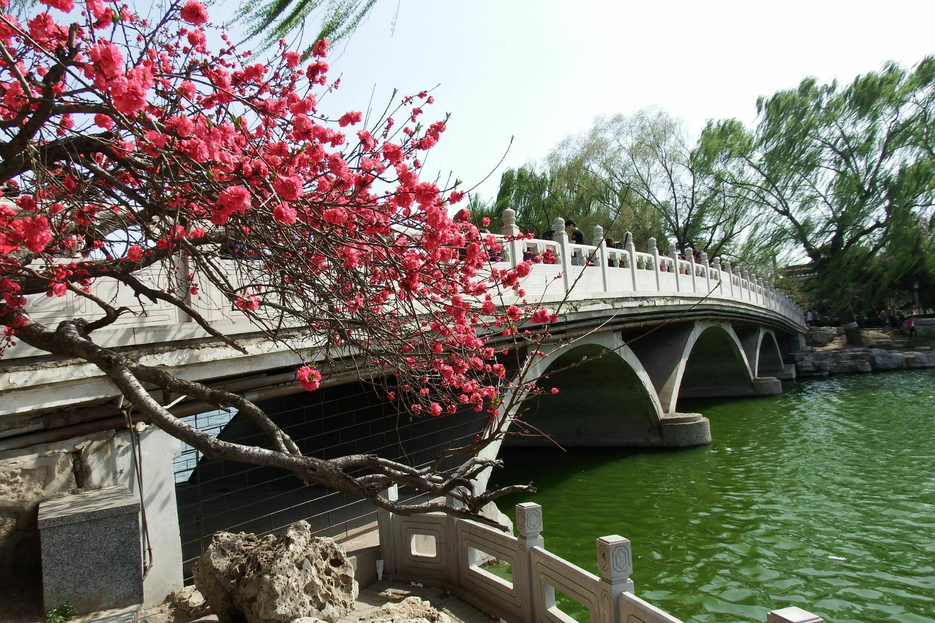 【携程攻略】北京陶然亭公园景点,北京陶然亭公园以园中名亭而著称