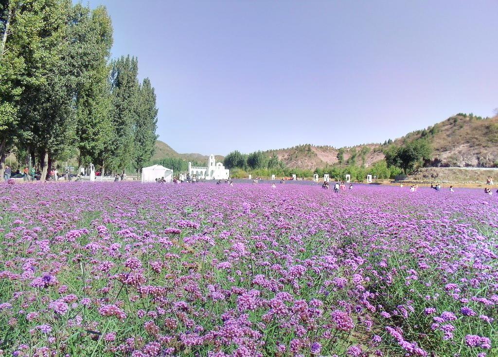 廊坊大湖公園攻略,廊坊大湖公園門票/遊玩攻略/地址/圖片/門票價格