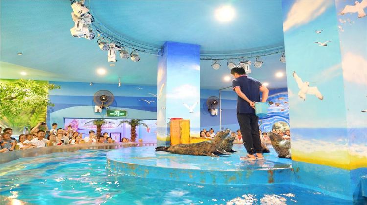 郑州锦艺城海洋馆攻略 锦艺城海洋馆门票价格多少钱 团购票价预定优惠 景点地址图片 携程攻略 郑州锦艺城海洋馆攻略 锦艺城海洋馆门票价格多少钱 团购票价预定优惠 景点地址图片 携程攻略
