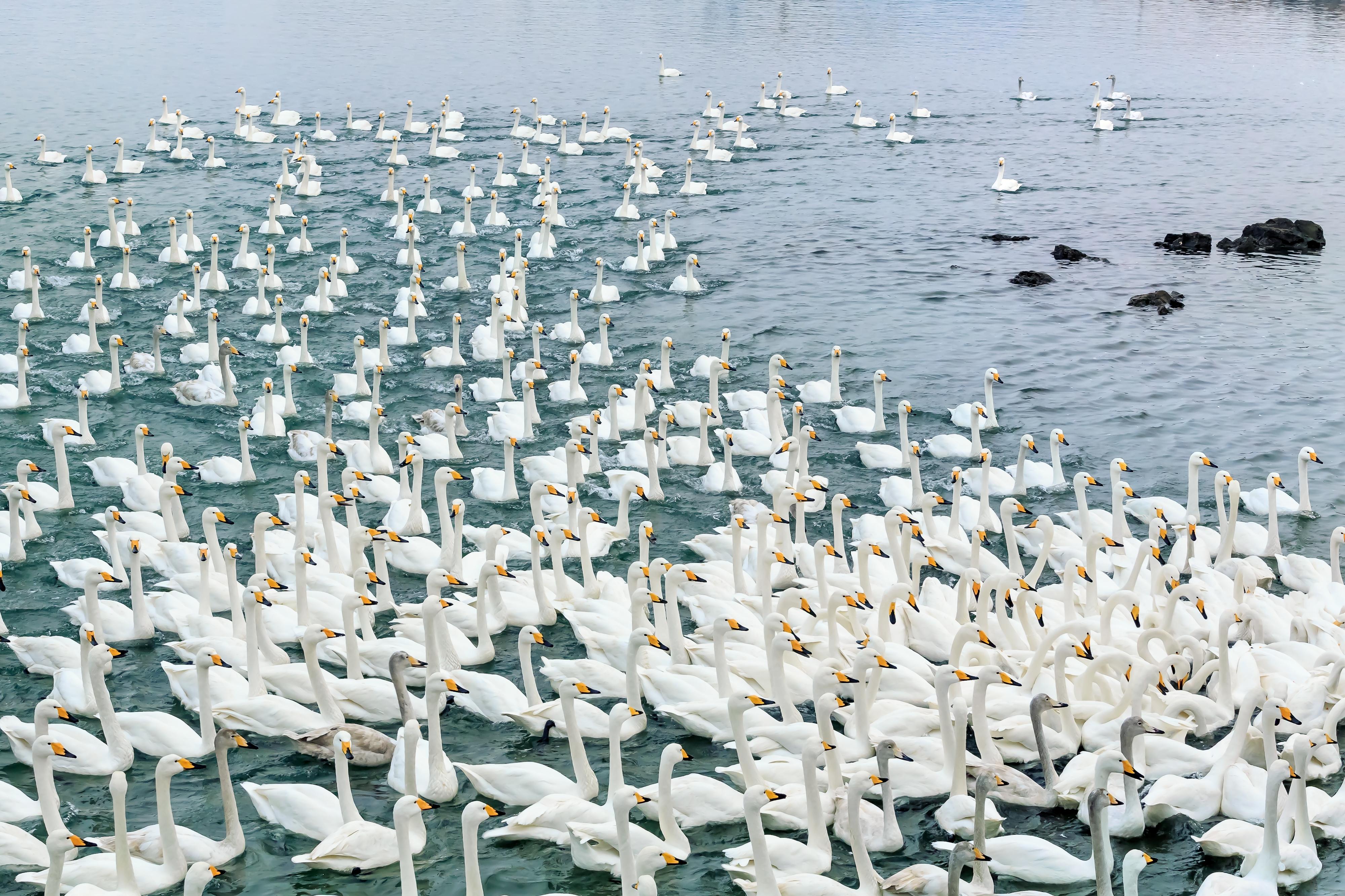 威海4日遊:從威海公園到赤山風景區,沿海風光與生態魅力