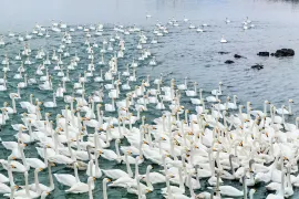 4-Day Weihai Tour: From Weihai Park to Chishan, coastal scenery and ecological charm