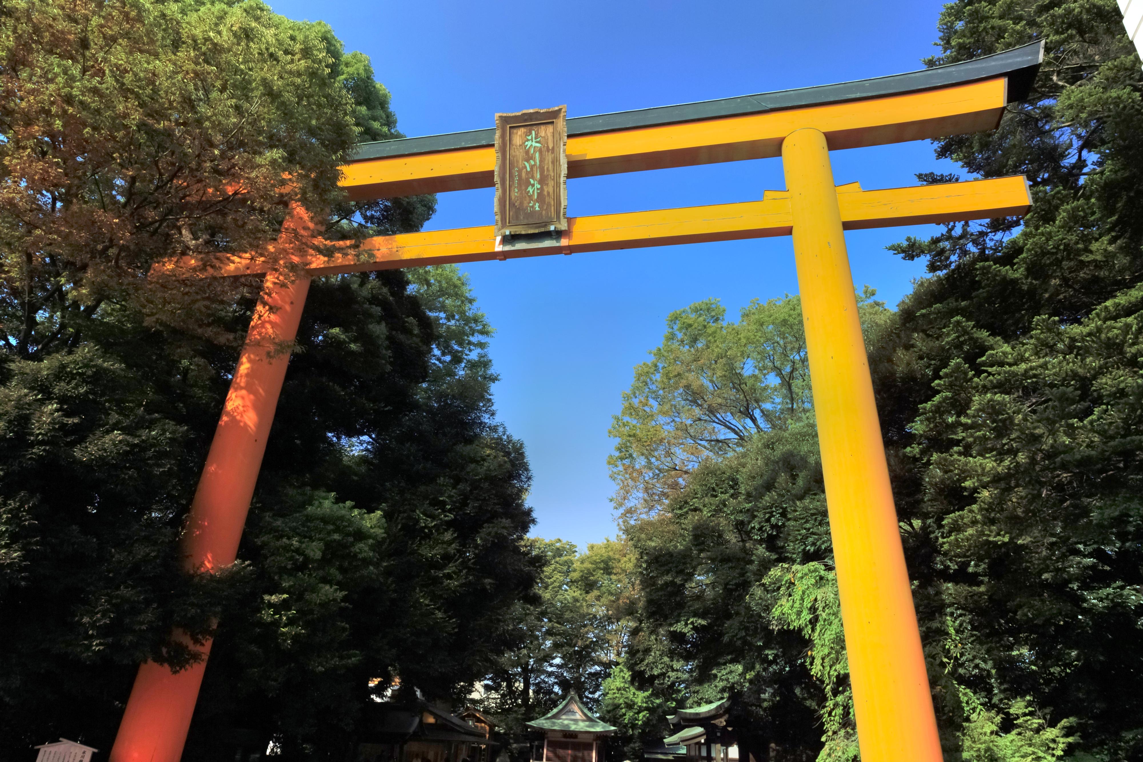 东京氷川神社图片