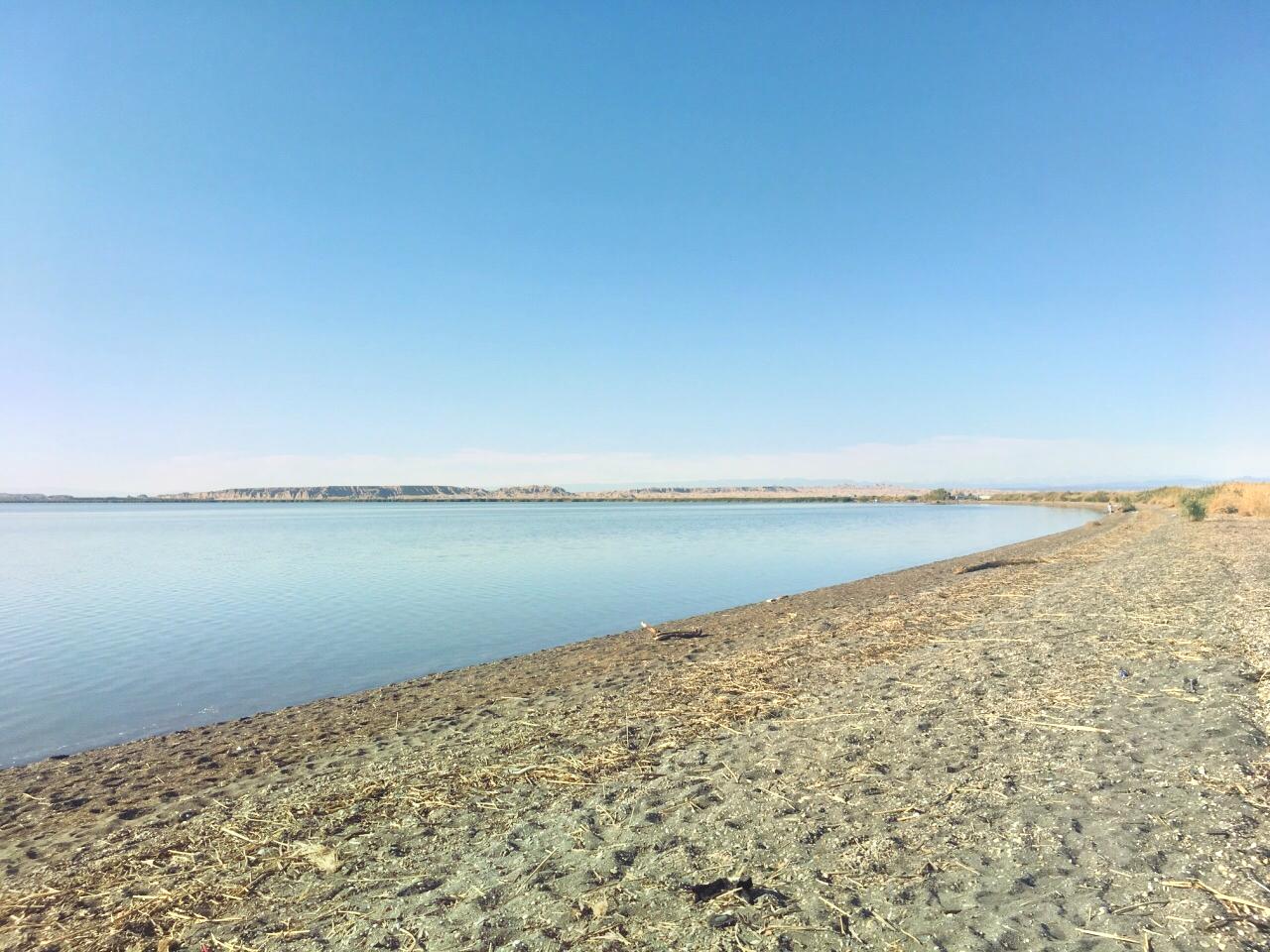 石河子垦区沙漠公园