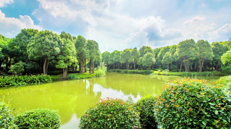 东山香樟园门票图片