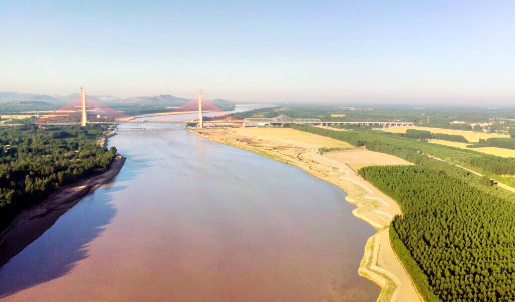 山东东阿黄河国家森林公园
