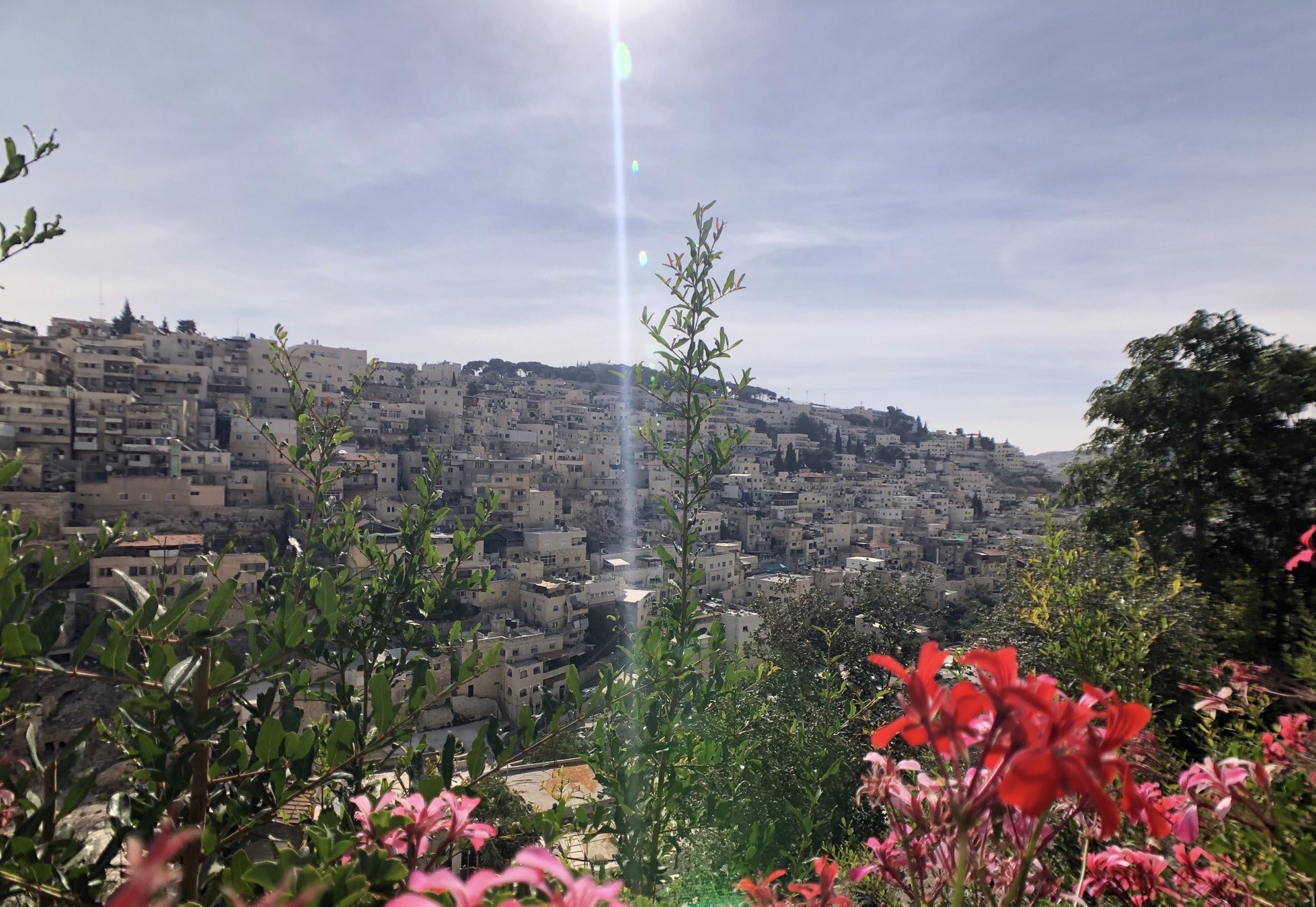 耶路撒冷的锡安山图片