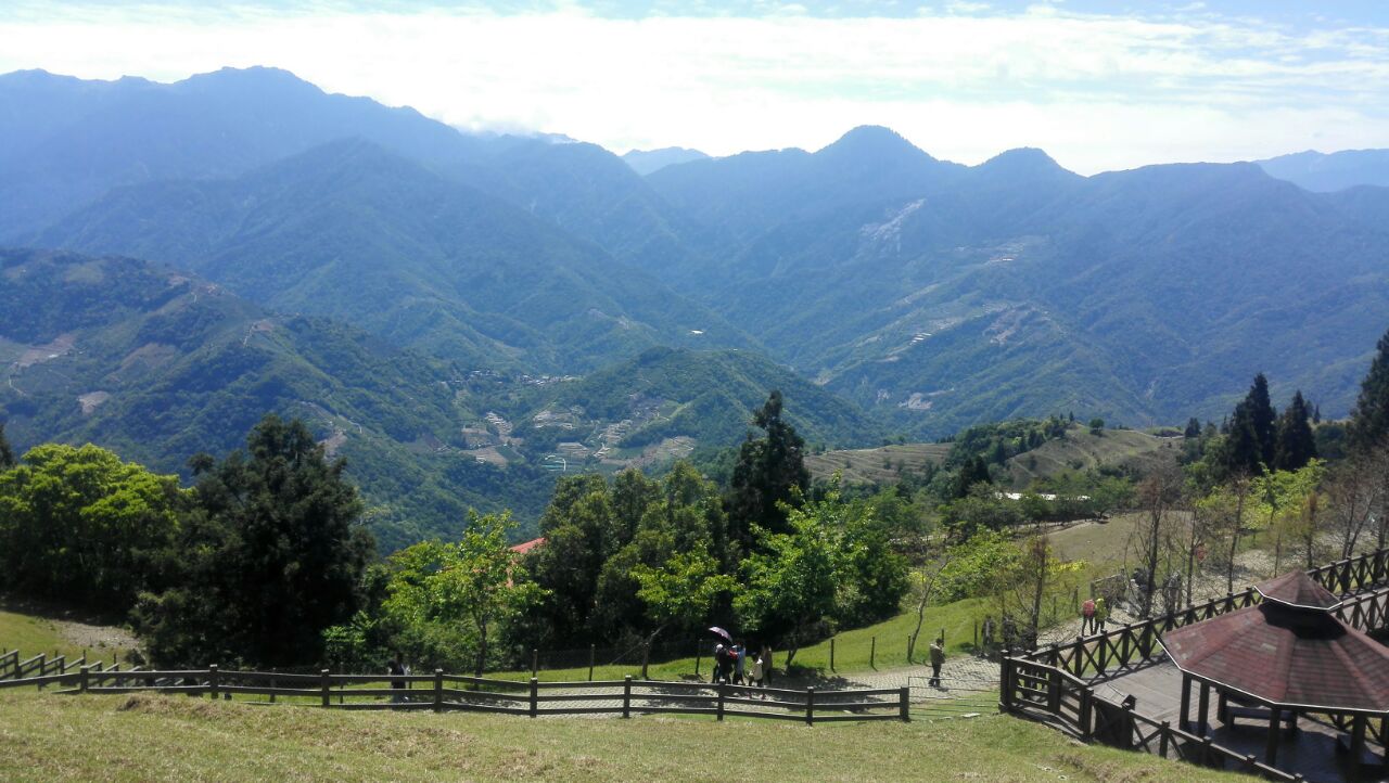 青青草原