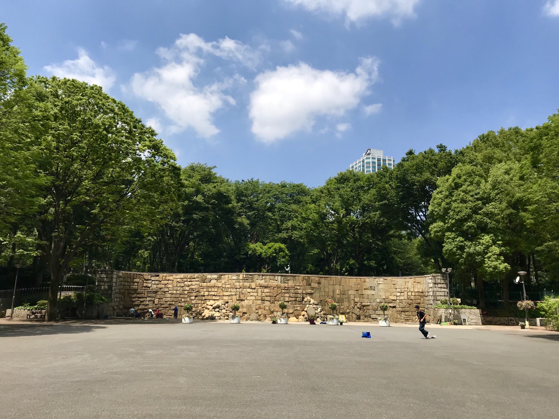 新宿中央公园游玩攻略 公园内种植有许多植物 能感 去哪儿攻略