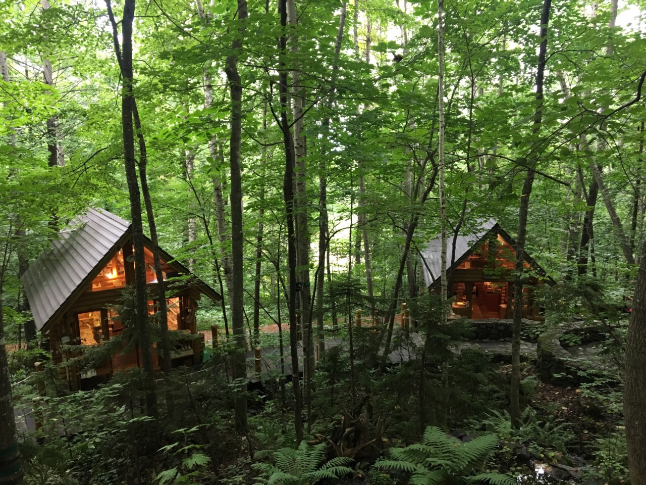 是在森林里的一栋栋小木屋,非常的童话