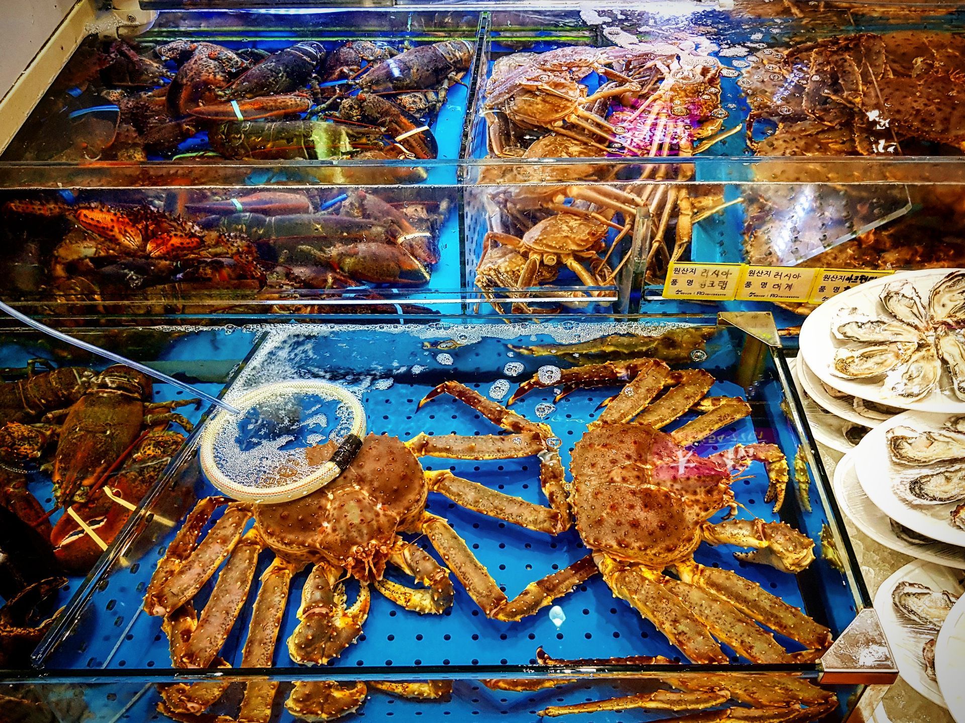 鹭梁津水产市场