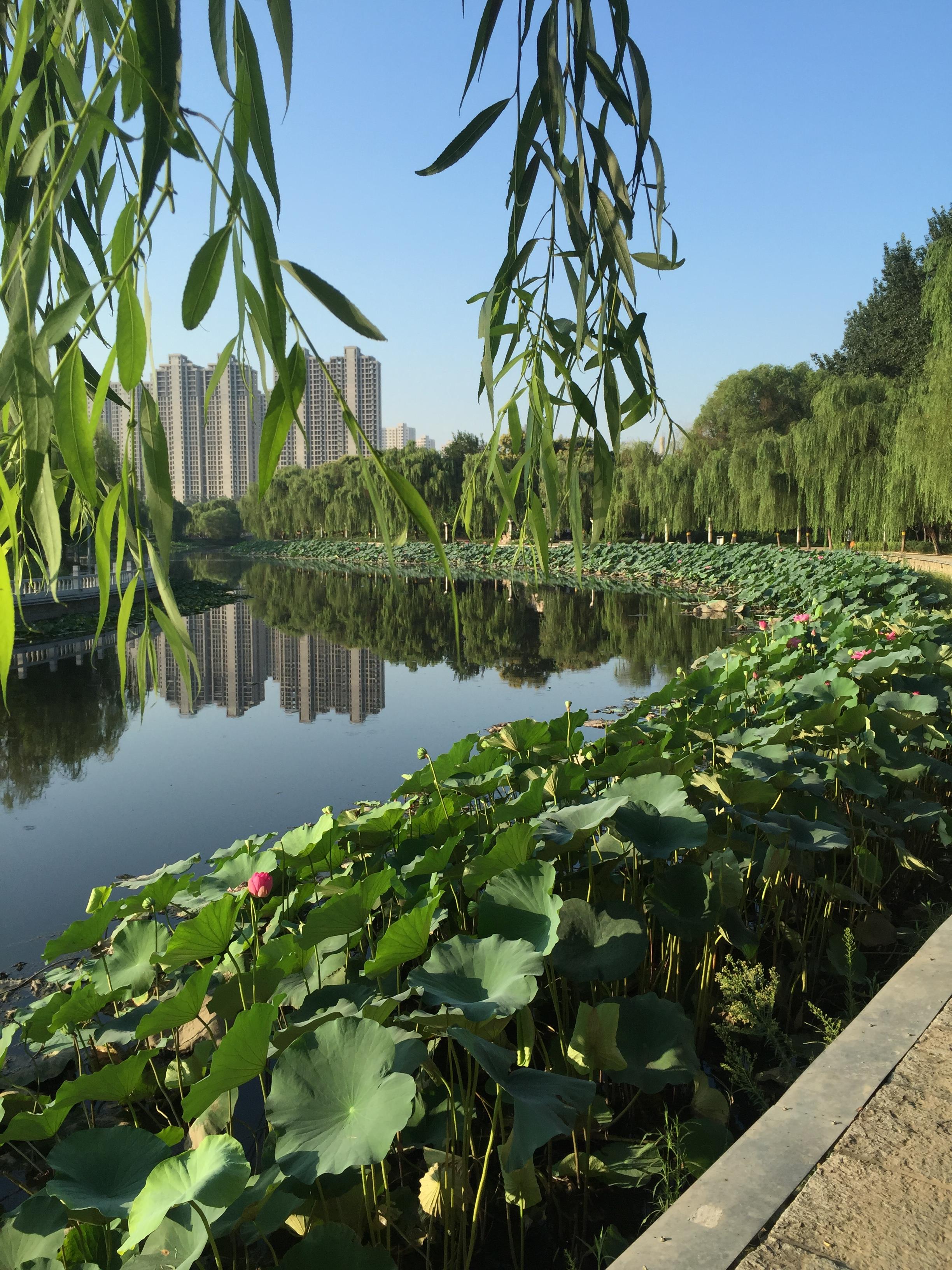 邯郸滏阳公园好玩吗,邯郸滏阳公园景点怎么样_点评_评价【携程攻略】