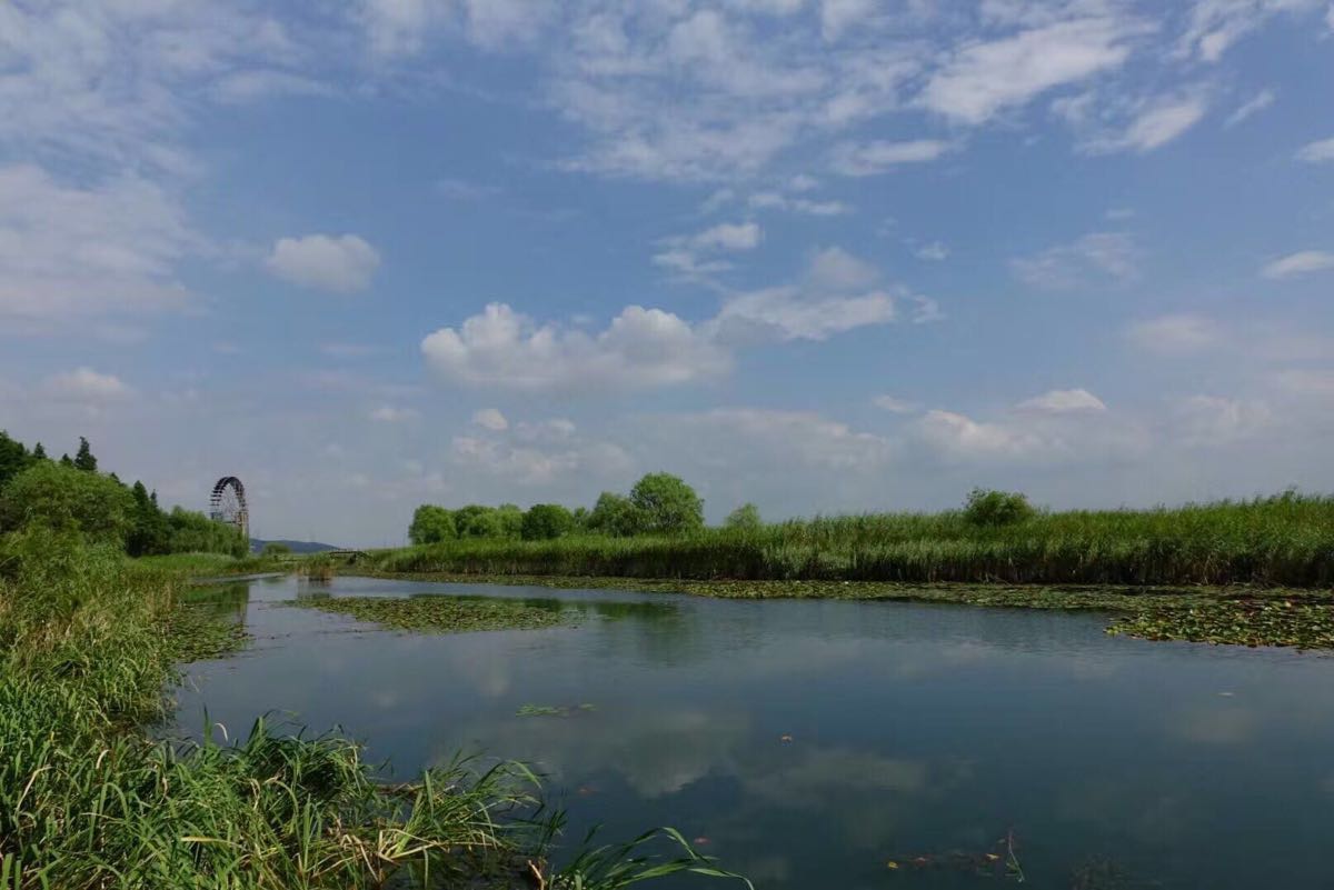 蘇州太湖湖濱國家溼地公園旅遊景點攻略圖