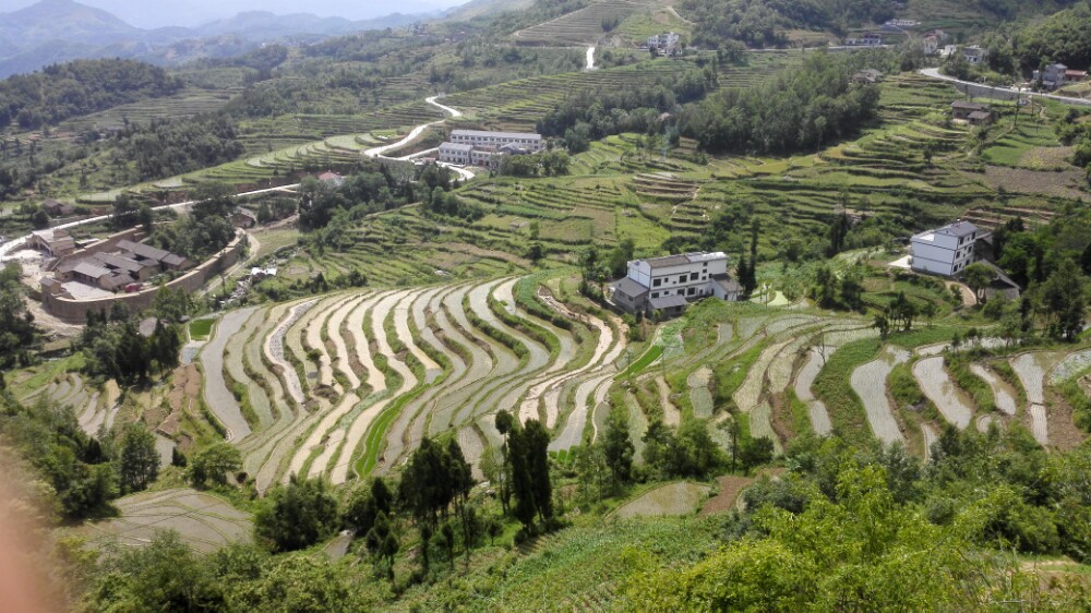 凤堰古梯田