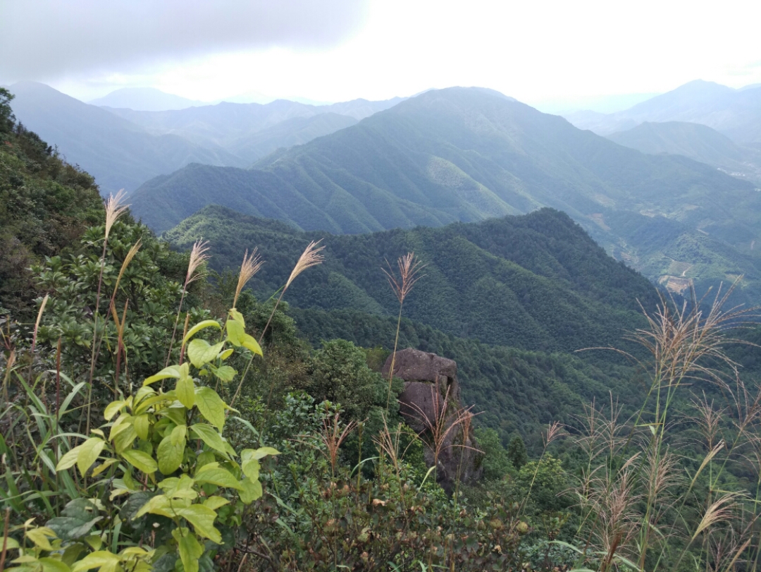 崇義陽嶺國家森林公園好玩嗎,崇義陽嶺國家森林公園景點怎麼樣_點評