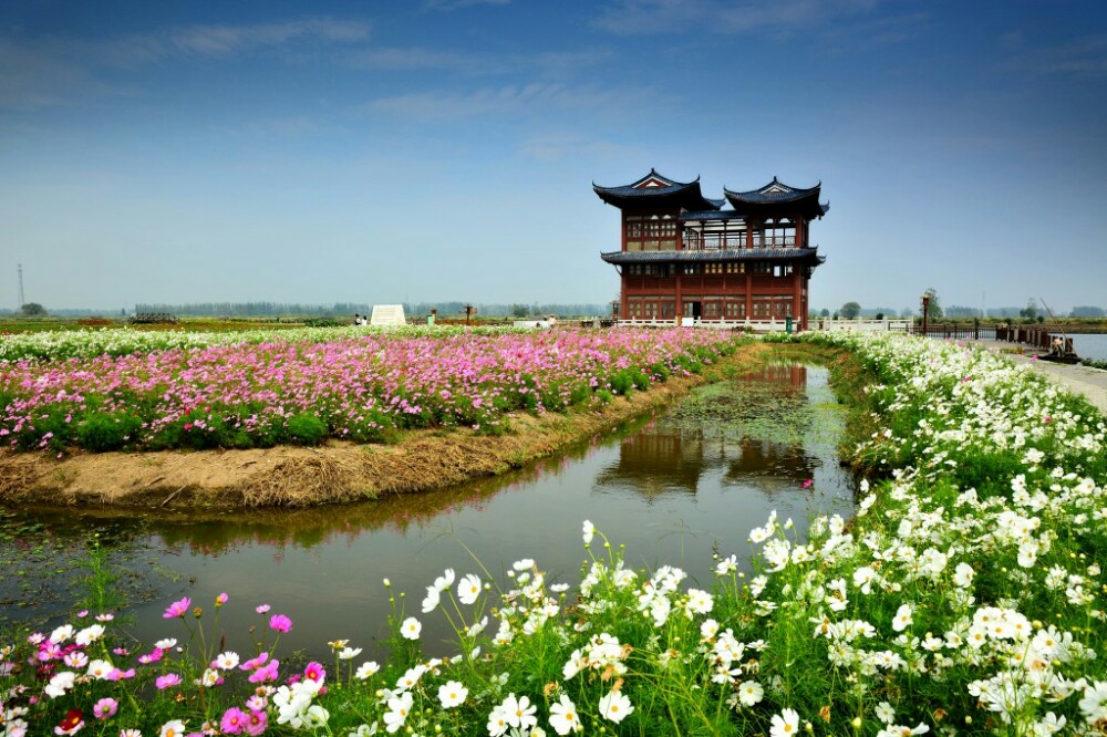 【携程攻略】江苏泰州兴化千垛景区好玩吗,江苏千垛景区景点怎麼样