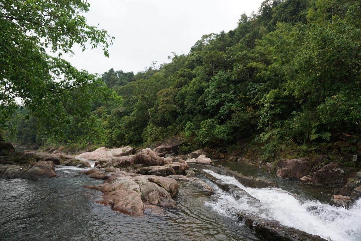 东兴东兴屏峰雨林公园好玩吗,东兴东兴屏峰雨林公园景点怎么样_点评