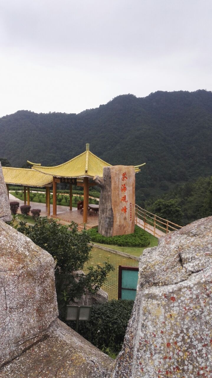 梅州阴那山灵光寺图片