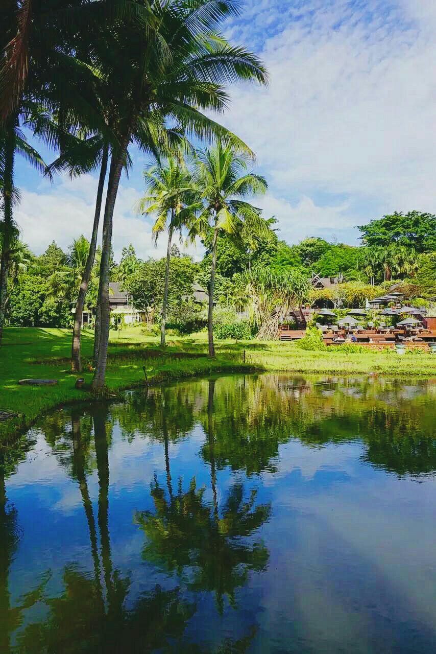 四季酒店下午茶