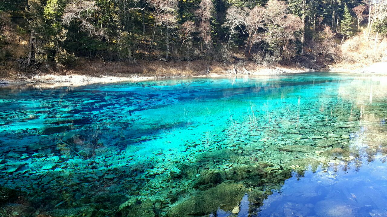 2019五彩池_旅遊攻略_門票_地址_遊記點評,九寨溝旅遊景點推薦 - 去