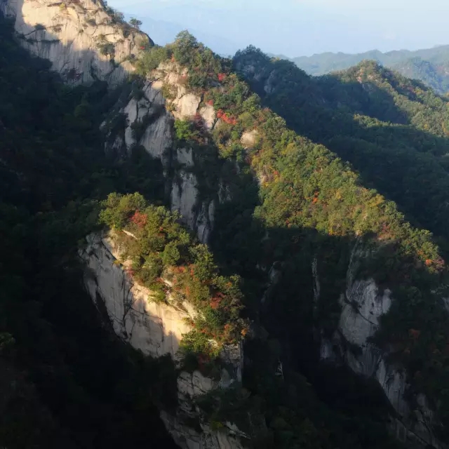 西泰山