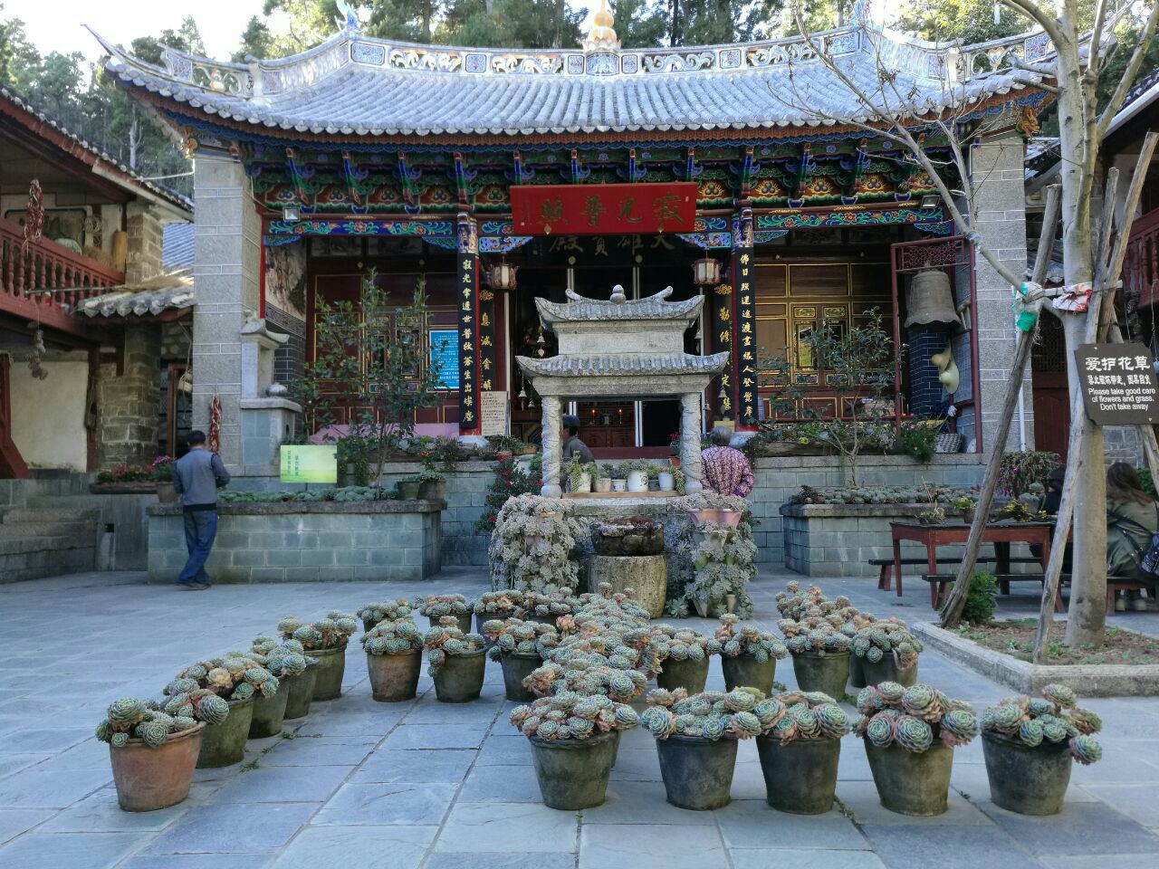 2020寂照庵-旅游攻略-门票-地址-问答-游记点评,大理旅游旅游景点推荐