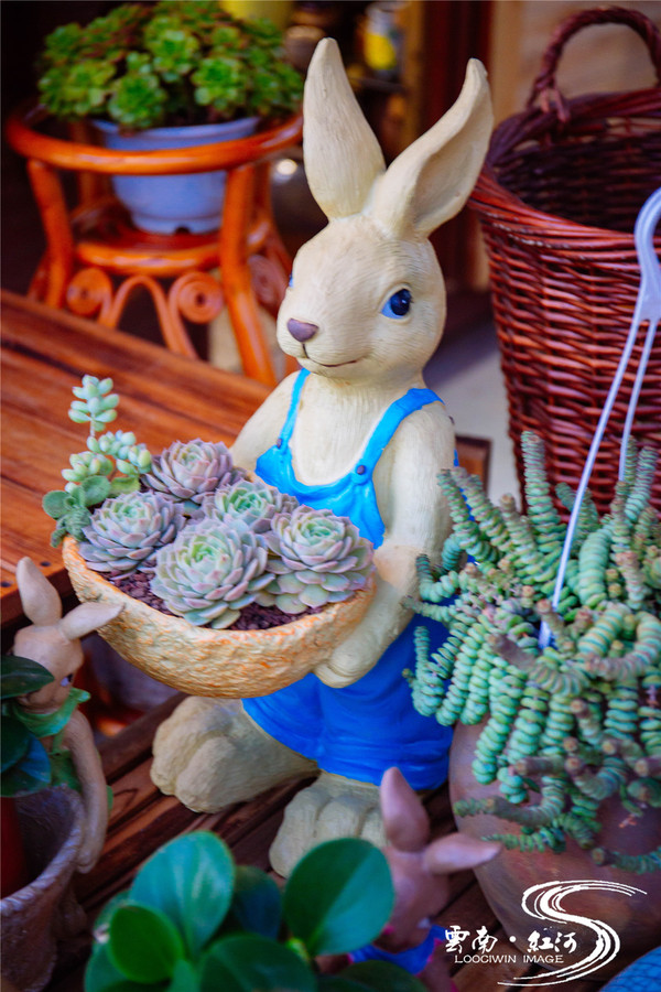 【云南】欢喜红河,与哈尼族人民载歌载舞