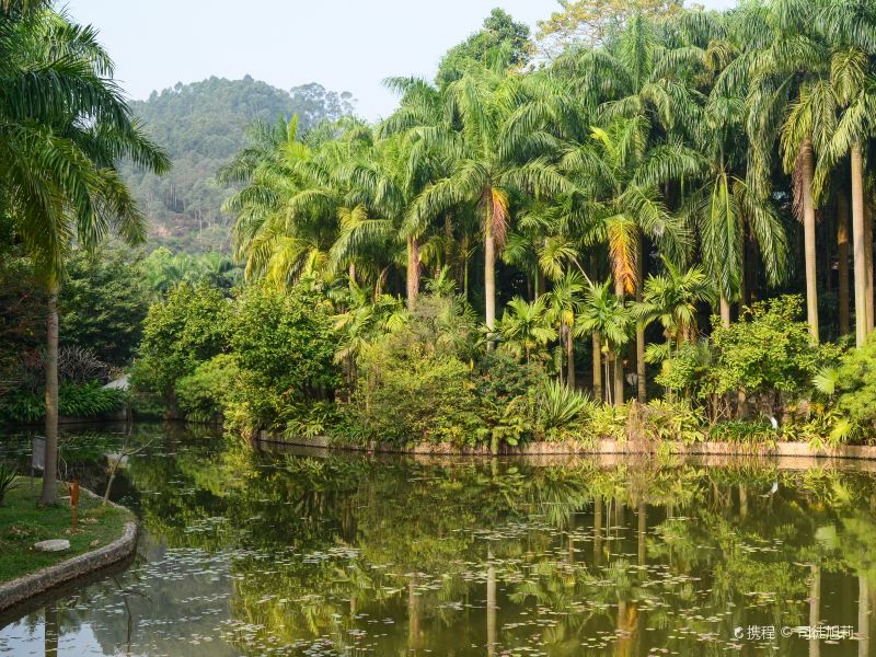 滴水岩森林公园